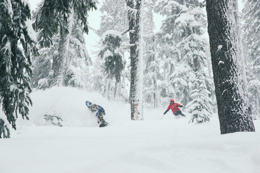 Demo Skis and Snowboards - What Are They? - UtahSkis