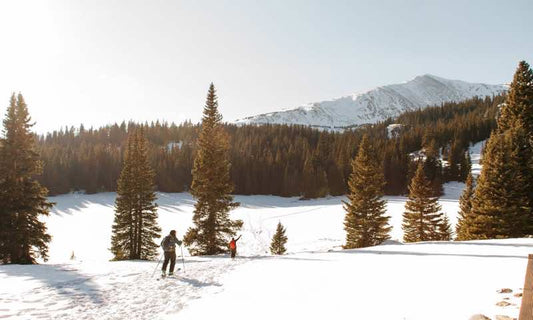 Where You Can Ski Right Now and Backcountry Basics - UtahSkis