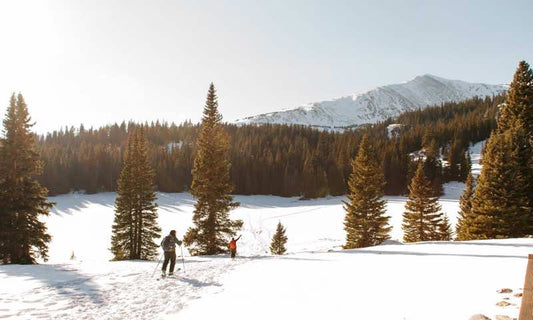 Two people skiing in the backcountry