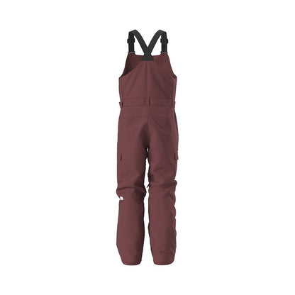 The North Face Mens Freedom Bib 2026 - UtahSkis for sale at UtahSkis