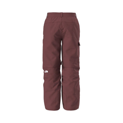 The North Face Mens Freedom Pants 2026 - UtahSkis for sale at UtahSkis