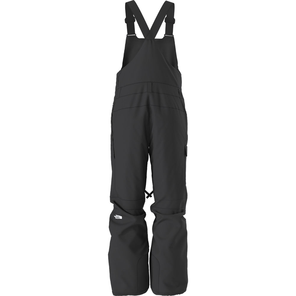 The North Face Men's Freedom Bib Snow Pants – Dreamruns.com