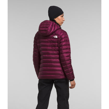 The North Face Summit Series Breithorn Hoodie 2024
