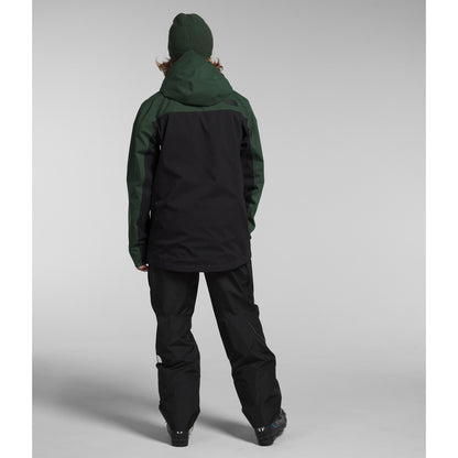 The North Face Freedom Stretch Jacket 2024