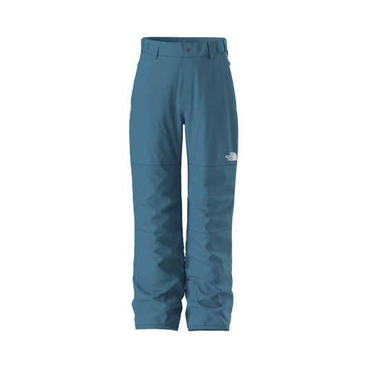 The North Face Freedom Insulated Boys Pants 2026 - UtahSkis for sale at UtahSkis