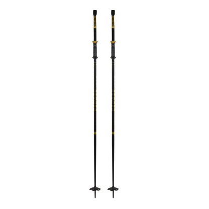 Armada Triad BB Ski Poles 2025