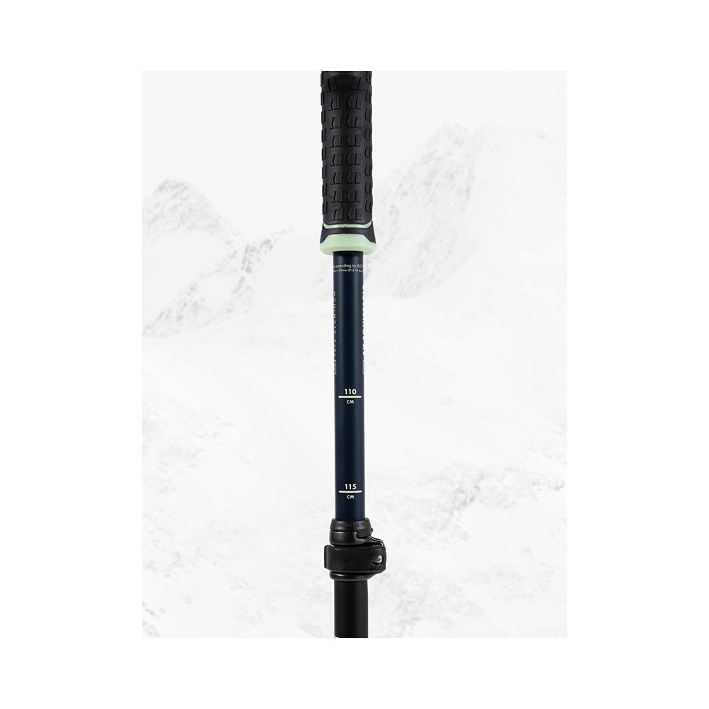 Armada AK Adjustable Poles 2026 - UtahSkis for sale at UtahSkis