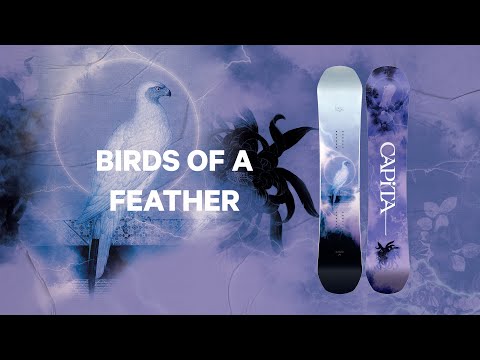 Capita Birds Of A Feather Womens Snowboard 2024 BIRDS OF A FEATHER